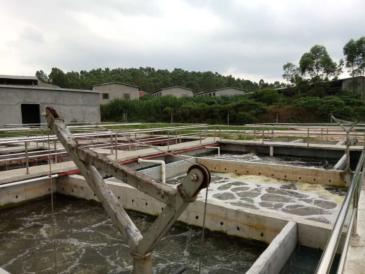 養豬廢水處理臭氧發生器 養殖廢水